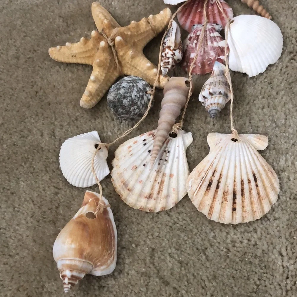 2 for $12! Seashell and raffia hanging doorway decor (set of 2) - Picture 8 of 14